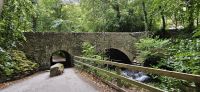 PICTURES/Killarney National Park - Torc Falls & Muckross Abbey/t_20250926_151144.jpg